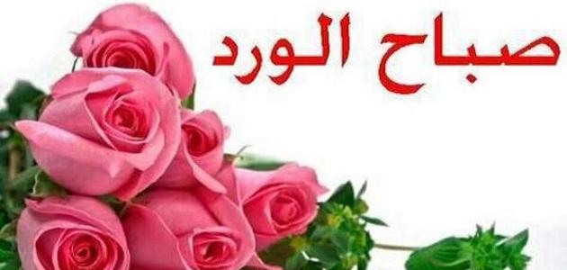 أجمل مسجات الصّباح أجمل مسجات الصّباح