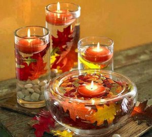 14203159_10156425423198647_9217473859011562046_n (1)