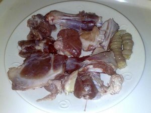 7c69d0272ce719311b218c9ccbe9eb2e