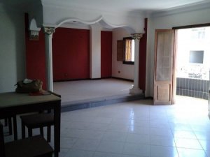 اشكال-ديكورات-شقق-مودرن2016-4-450x338