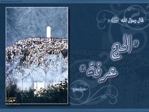 ec1273e7a27363e2bfad31a1a286468a