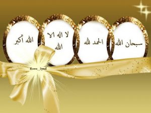 346273_dreambox-sat.com