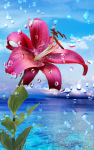 احلى براويز صور Hd-wallpapers-1080p-for-mobile-94x150