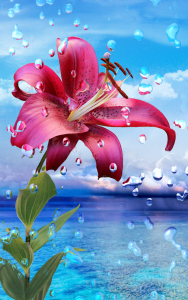hd-wallpapers-1080p-for-mobile