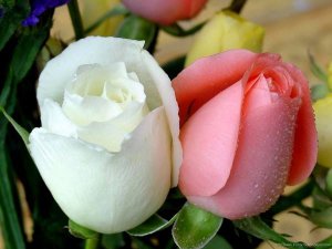 78483.998725_1387553668136987_1609798786_n