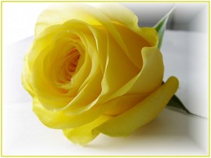 78483.elmstba.com_1457060751_305