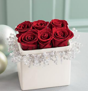 img_bnat-ly1477110270_144 (1)