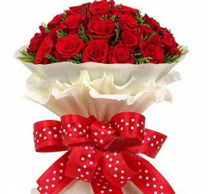 img_bnat-ly1477110270_190