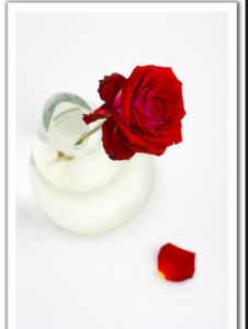 img_bnat-ly1477110270_314