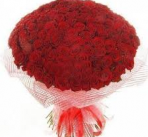 img_bnat-ly1477110270_804