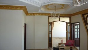 15895352_1867793863440128_7632299865807028984_n