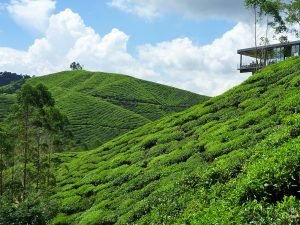 صور مناظر طبيعية 2017 أجمل مناظر طبيعية في العالم