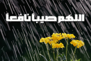 114393dreamjordan.com