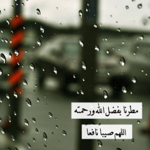 114394dreamjordan.com