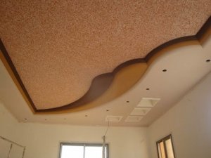 1653673_258938017613269_2134230557_n