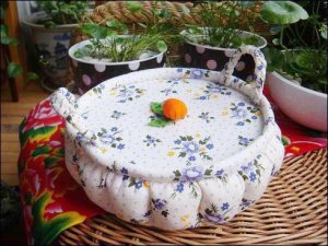 16641020_1813041102279579_328100734795324922_n