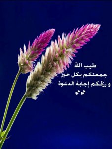 16684176_976912265776026_7268980141651633438_n