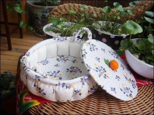 16830876_1813040658946290_2445106666265346604_n