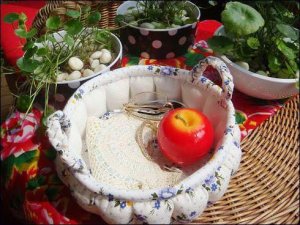 16830984_1813040978946258_4115991552694362050_n