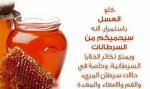 معلومات قيمه تهمك