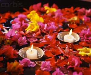 2007_file42353_14_1017_173_14