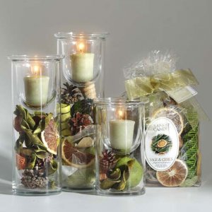 2007_file42353_16_1017_173_14