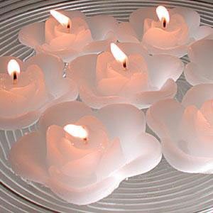 2007_file42353_19_1017_173_15