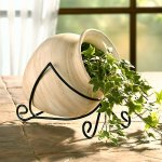 نباتات منزلية لكل أركان البيت