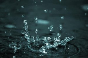 52485918.figure1-1-768x510