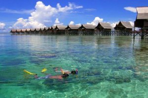 632406168cfe7c79715f9b42bc09a6cc_thumb