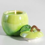 صور شموع تحفه لاعياد ميلاد وزواج ونجاح 2017