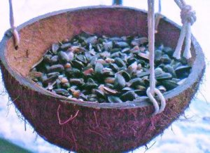 800ec78db7f65e6382834ed9b694a7d2