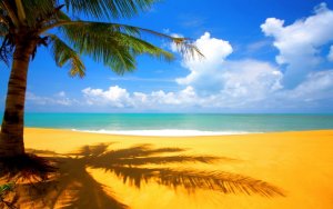 Cheapest-Nature-beach-wallpaper-With-Additional-survival-gear-box-with-Nature-beach-wallpaper-Survival-Gear-2016-768x480