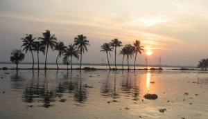 Kerala_Backwaters_Sunset