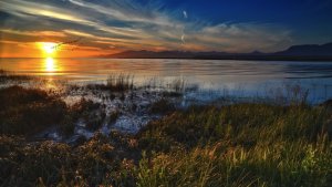 Nature-Wallpaper-19-768x432