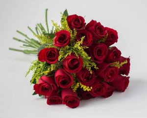 ed73e88bc7538a5d0ff85473abf831ac