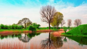 england_may_spring_nature_94867_1920x1080-768x432 (1)