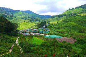 f2d2bc10995efb5ec523cc0bec6f9b70_thumb