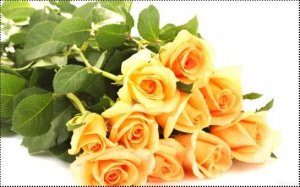 img_1383654797_532