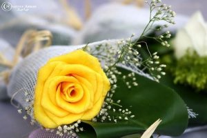 img_1383654797_630