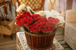 img_1383654798_666