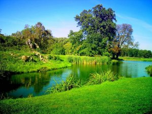 nature-wallpaper-34-768x576