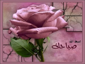 photos_sabah_al-khair_good_morning_03
