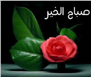 sba7 al5er word 1