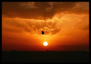 sunset2
