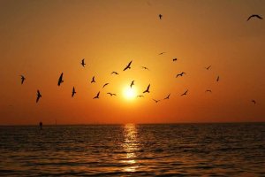 sunset_5_by_qtwendy