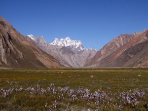 اجمل-صور-خلفيات-طبيعية-1-450x338