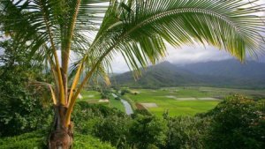 تحميل-خلفيات-طبيعية-4-450x253