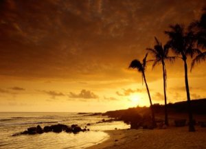 خلفيات-جميلة-4-450x326