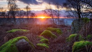 شروق,الشمس,2014 (10)